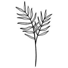 Floral leaf element for wedding card, invitation card, poster, logo design and more.