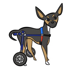 Dog wheelchair pet leg disability