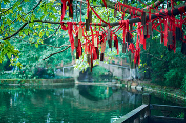 Fototapeta na wymiar A blessing strip hanging from a tree in a park in Chengdu, China