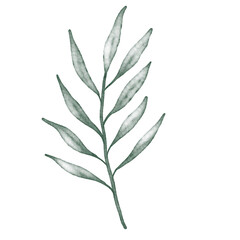 Fototapeta premium Green watercolor leaf hand painted for greeting card decoration and invitation card.
