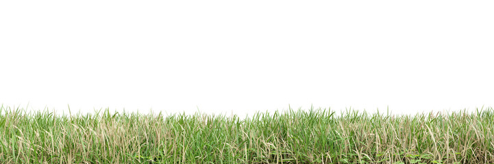 Obraz premium Dry meadow on transparent background 3d rendering png