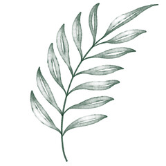 Green watercolor leaf hand painted for greeting card decoration and invitation card.