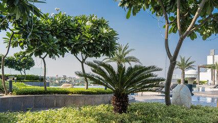 A rooftop relaxation area next to the infinity pool. Flowering trees, stunted palm trees, trimmed bushes grow on lawns. The panorama of the city is visible in the distance. Blue sky. India