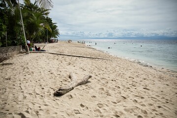Dreamlike idyllic beach of Moalboal, Cebu in the Philippines with palm trees and wooden boats along the beach.