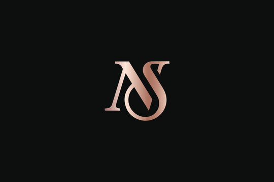 NS letter minimal with golden typography minimal brand logo design, ns luxury logo, ns icon, ns elegant logo