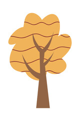Cartoon tree illustration. Vector illustration of autumn trees on a white background.