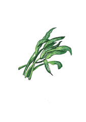 water spinach