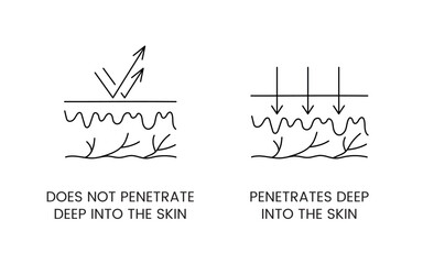 Skin layers line icon in vector, illustration does not penetrate deep into the skin, penetrates deep into the skin.