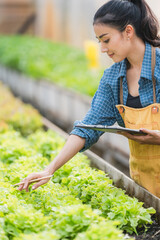 Young Asian woman smart farmer or organic farm agronomist, Checking a fresh green vegetables products quality control, concept of digital data technology for smart farming agriculture and food harvest