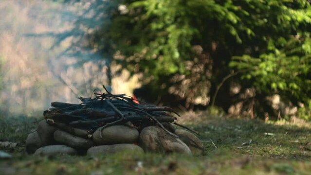 Close up of warm campfire. Fire burning. Beautiful bonfire, burning old wood in spring sunny day. Active lifestyle, traveling, hiking. Camping vibes and outdoor lifestyle mood. Slow motion