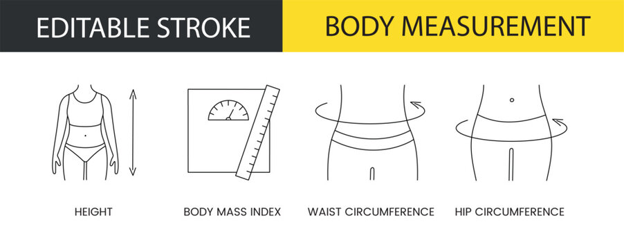 Body measurement line icon set in vector, illustration of height and body mass index, waist and hip circumference. editable stroke