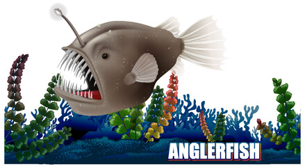Anglerfish Deep Sea Creature