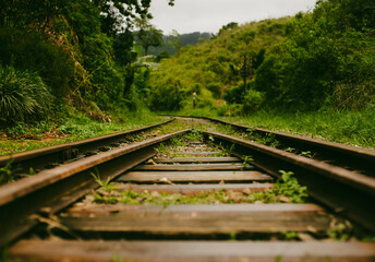 Railway track on green forest landscape.