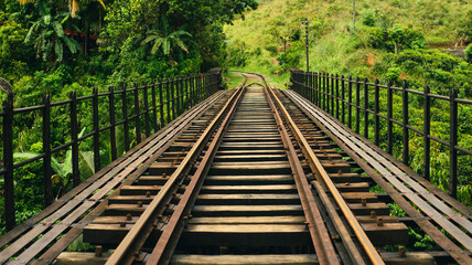 Railway bridge on green forest landscape.