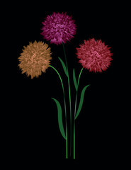 Three beautiful flowers. Vector file for designs.