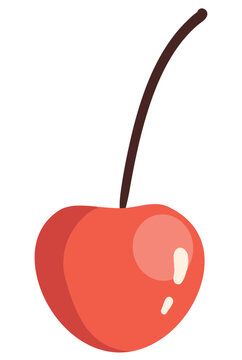 red cherry berry vector illustration