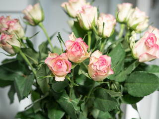 bouquet of pink roses in vase close up ,natural flower background