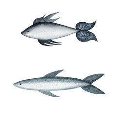 Two Watercolor Sea Fish