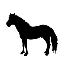 horse silhouette vector © Nida Fristila Adilah