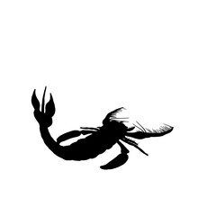 scorpion silhouette vector