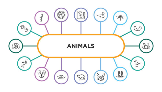 animals outline icons with infographic template. thin line icons such as pawprint, fish and knife, origami swan, dragon fly, crab, drunk, boxerhead, pet bed, camel facing left, japanese cat head,