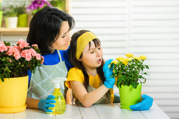 Fototapeta na wymiar Mom and daughter take care of the houseplants. They look at the yellow rose flowers in the pot. Copy space.