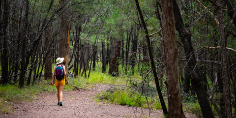 Beautiful girl in colorful clothes andmires and walks in Brisbane Koala Bushlands Park, Queensland, Australia