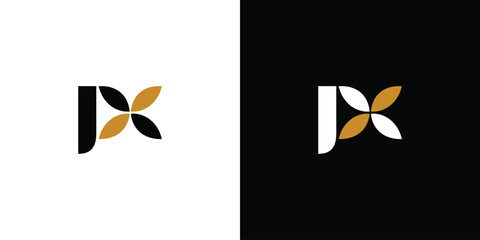 Unique and modern PX logo design