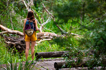Beautiful girl in colorful clothes andmires and walks in Brisbane Koala Bushlands Park, Queensland,...
