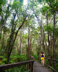 Beautiful girl in colorful clothes andmires and walks in Brisbane Koala Bushlands Park, Queensland, Australia