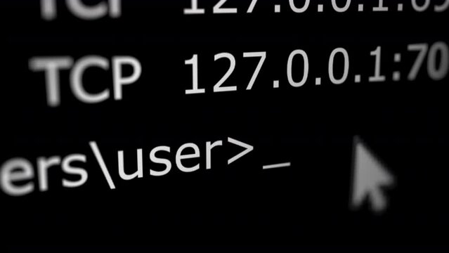 Animated Commands Line With Cursor. All data on the Footage are Fictional, Created Especially for This Concept, Seamless Loop
