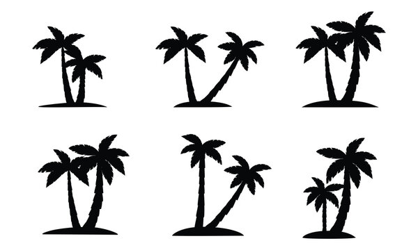 Set of palm trees, silhouette. Pair of palm tree. Vector illustration.