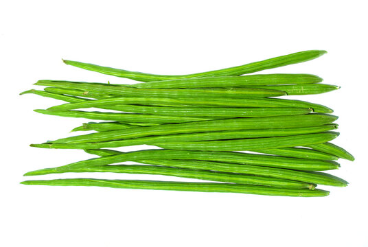 Fresh Drumsticks vegetable stock image