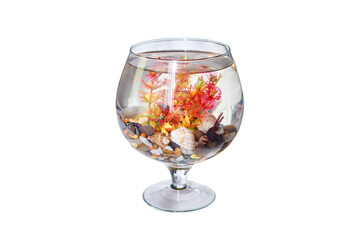 Fish swims in the original fish tank, isolated on a white background. Aquarium in the form of wine glass. Fishbowl with water on a thin leg with a stands on the table.
