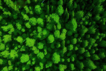 Aerial top view of summer green trees in forest in rural Finland. Generative Ai