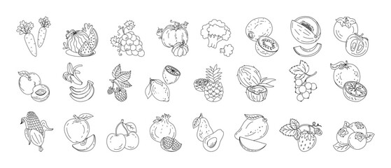Fototapeta premium Fruits and berries doodle set Vector black and white illustration isolated on a white background