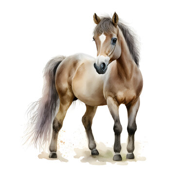 Cute watercolor horse. Funny animal design for fabric, t-shirt, greeting card, sticker. Illustration by Generative Ai
