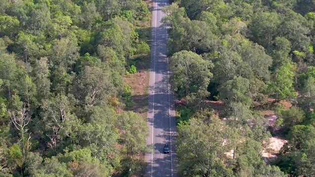 Car driving on a jungle road filmed with drone, Flying over the car road among the trees.