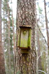 old broken nesting box hanging alone on tree trunk