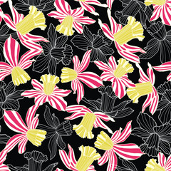 Vector illustration. Multi-colored pink striped daffodils  seamless repeat pattern on black background. Best for home décor, packaging and wallpaper.