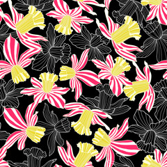 Raster illustration. Multi-colored pink striped daffodils  seamless repeat pattern on black background. Best for home décor, packaging and wallpaper.