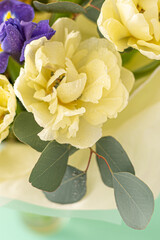 Spring bouquet of flowers. Irises, tulips, mimosa and eucalyptus. Yellow and blue flower. Bud close-up. Floral background. Purple iris, white double tulip. Gift. March mood.