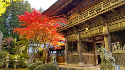 寺と紅葉