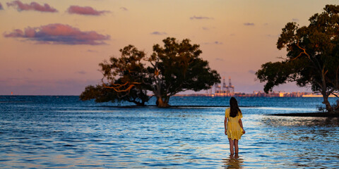 girl in dress admires the amazing colourful sunset wading in the shallow water at nudgee beach, brisbane, queensland, australia; mangroves in boondall wetlands - obrazy, fototapety, plakaty