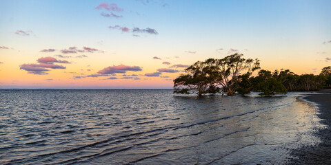 amazing colourful sunset at nudgee beach, brisbane, queensland, australia; mangroves in boondall...