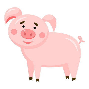 Vector cute pig cartoon isolated on white background