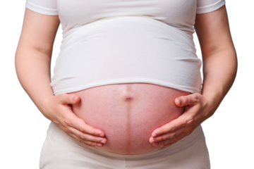 Dark stripe on the belly of a pregnant woman, studio shot isolated on a white background