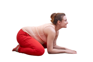 A pregnant woman does yoga at home and does exercises in the cat cow pose, isolated on a white background