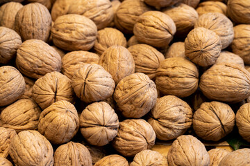 Shelled walnuts. Pile of unshelled walnuts in daylight. Walnut background. Flat lay. Banner
