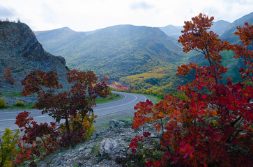 autumn road landscape in the mountains